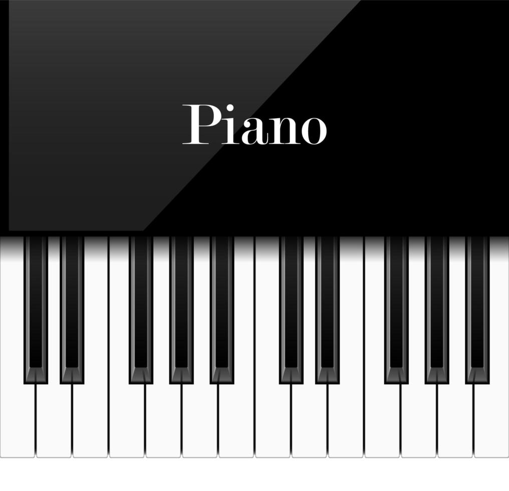 Realistic piano keys vector