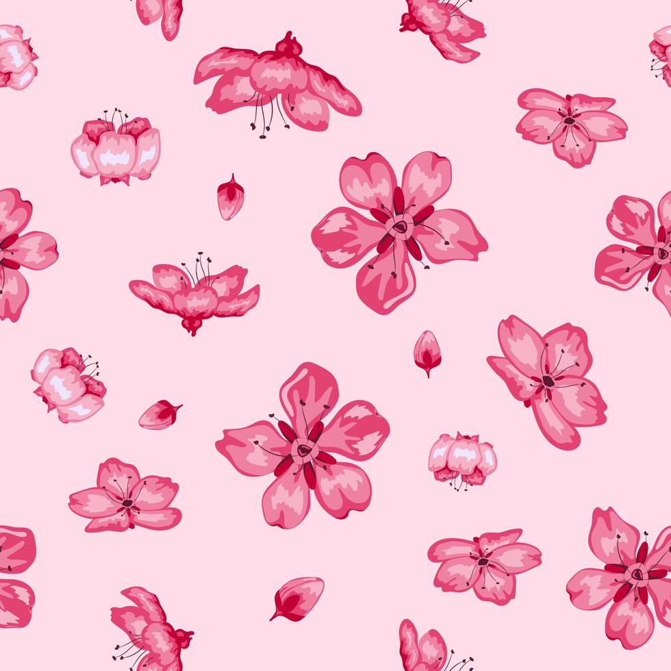 Sakura blossom flowers seamless pattern background vector