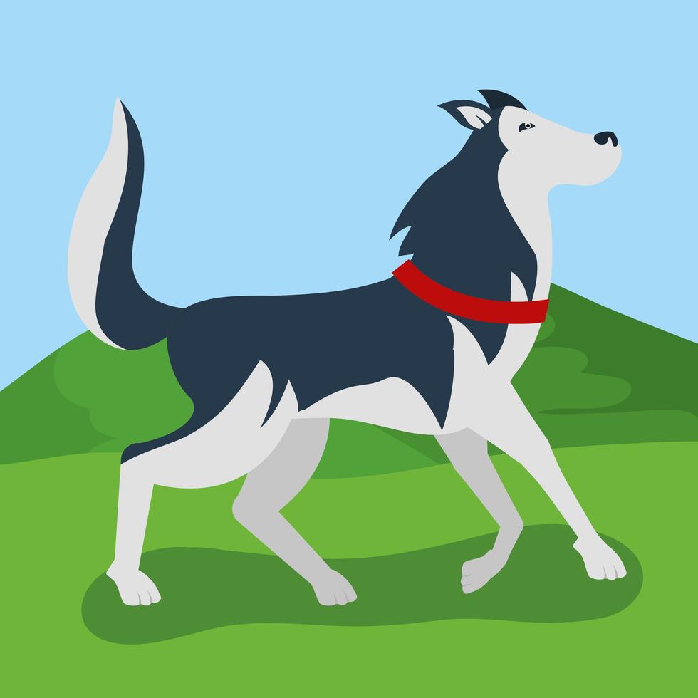 cute dog walking in the park vector