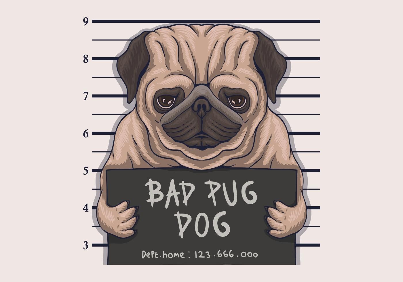Bad pug dog crime vector illustration