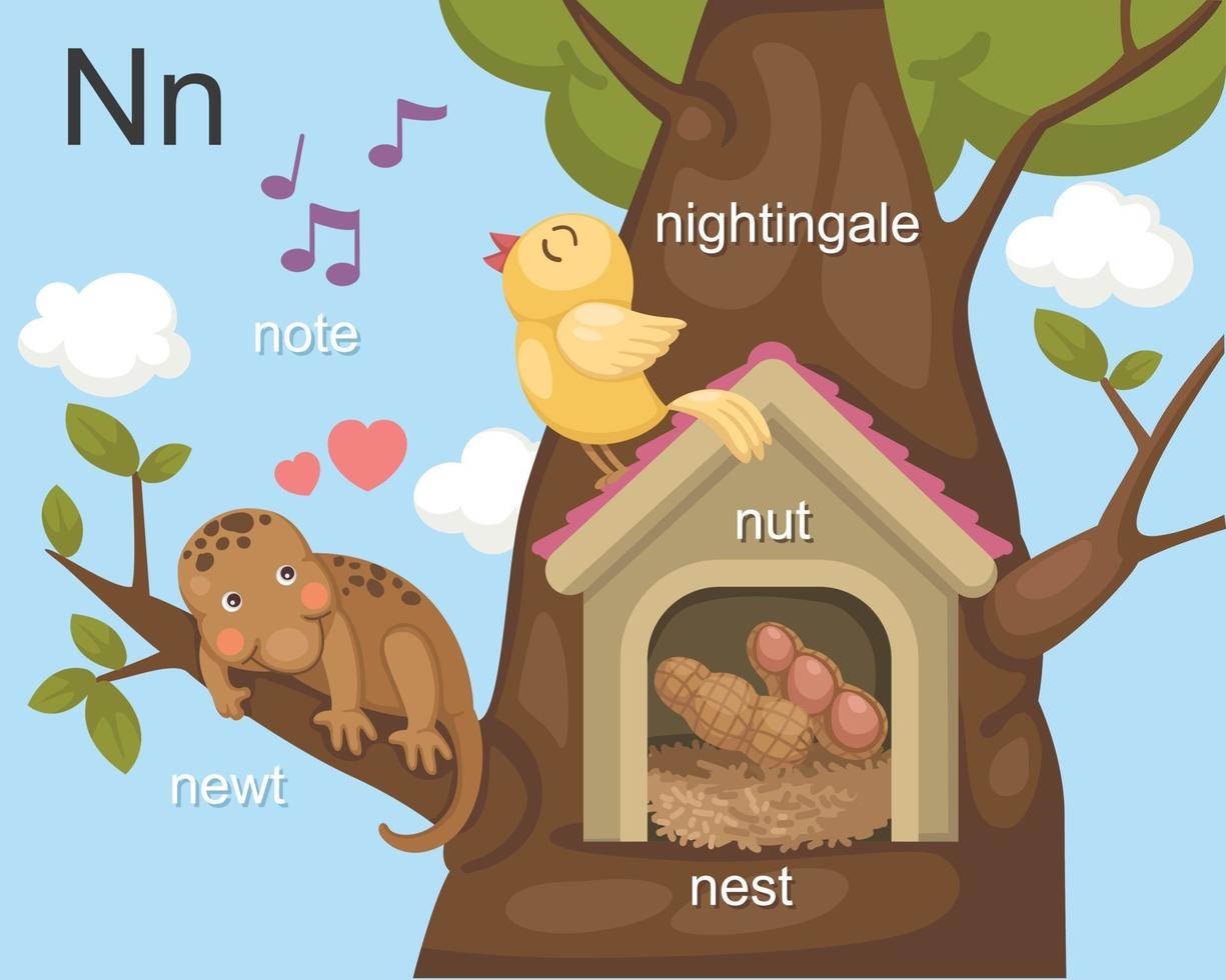 Alphabet N letter note, newt, nest, nut, nightingale. vector