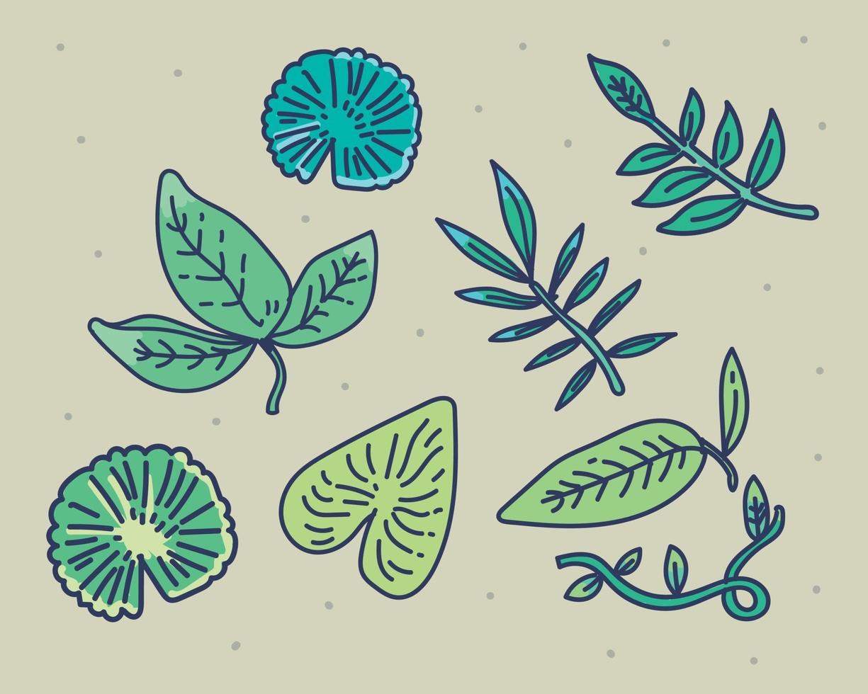 vector designer leaf elements set in hand drawn doodle style