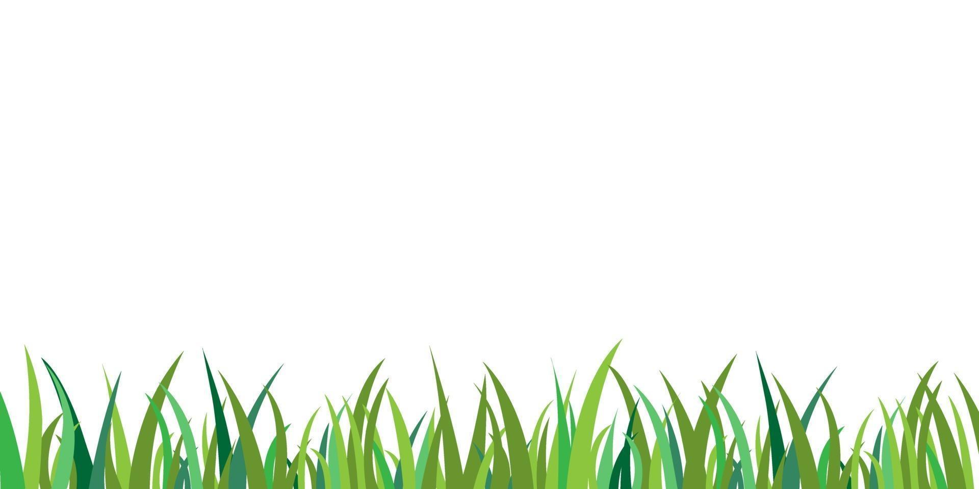 Green grass isolated background vector. Grass border frame decoration. Flat garden field vector