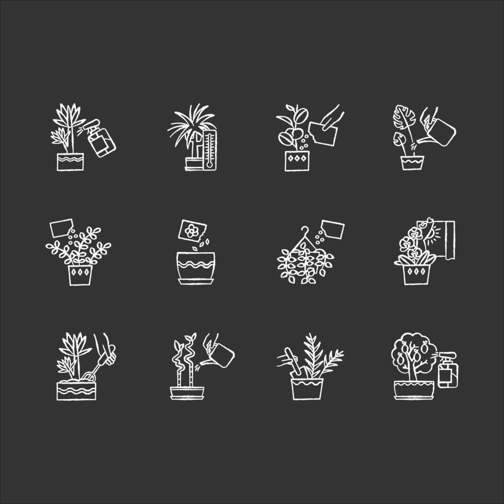 Houseplant caring chalk white icons set on black background. Plant transplant. Seed planting. Watering, fertilizing. Fluffing. Aeration. Right light. Spraying. Isolated vector chalkboard illustrations