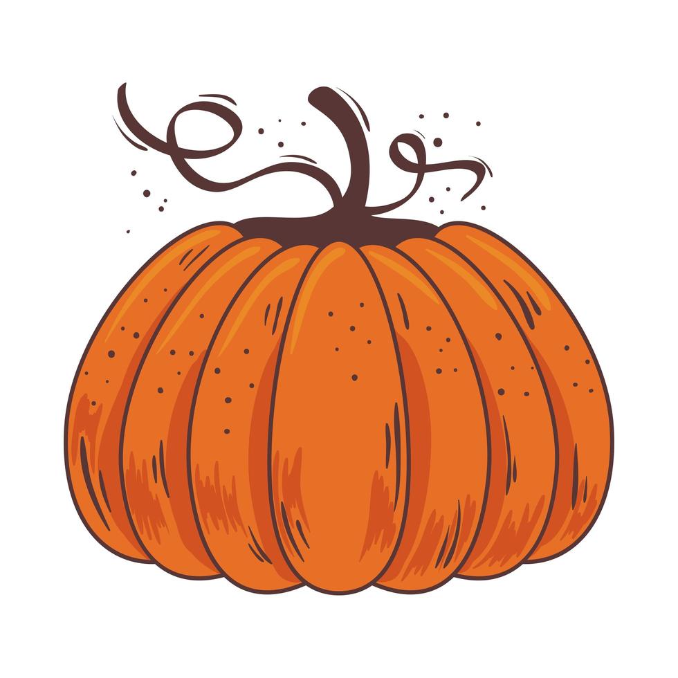 otoño calabaza fruta estacional icono aislado vector