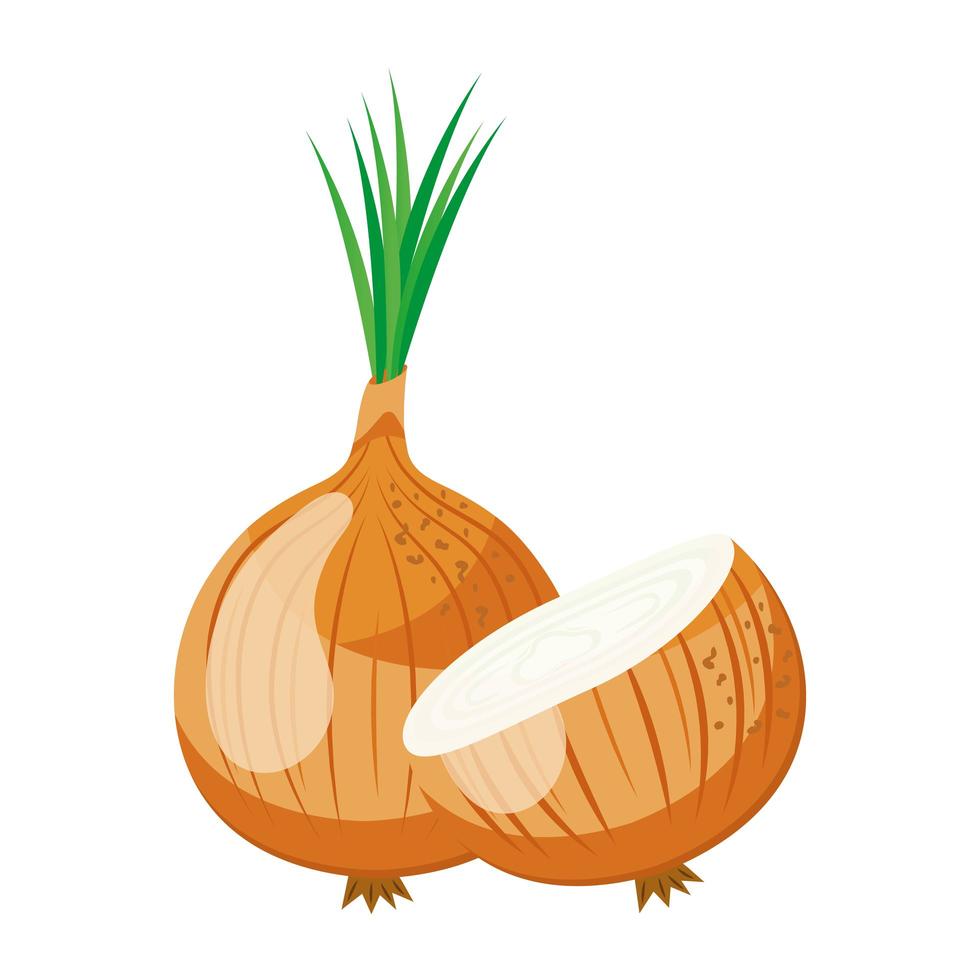 icono de comida sana de cebolla de verduras frescas vector