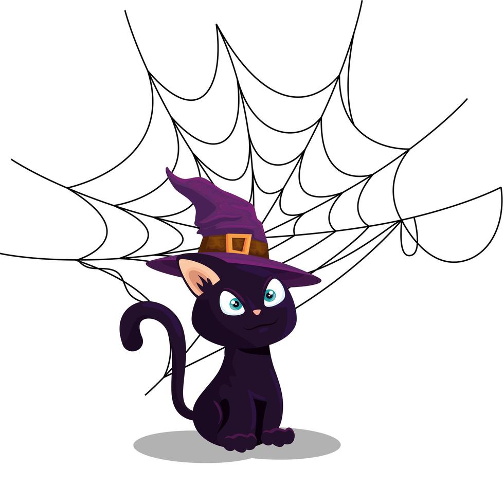 cat of halloween with witch hat and spider web vector