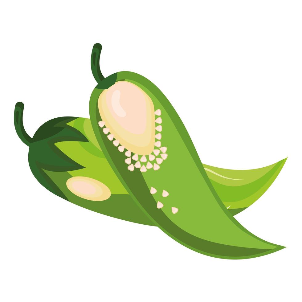 fresh vegetable green chili pepper healthy food icon vector