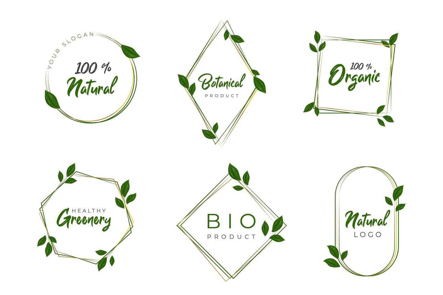 Set of floral frames with greenery concept vector