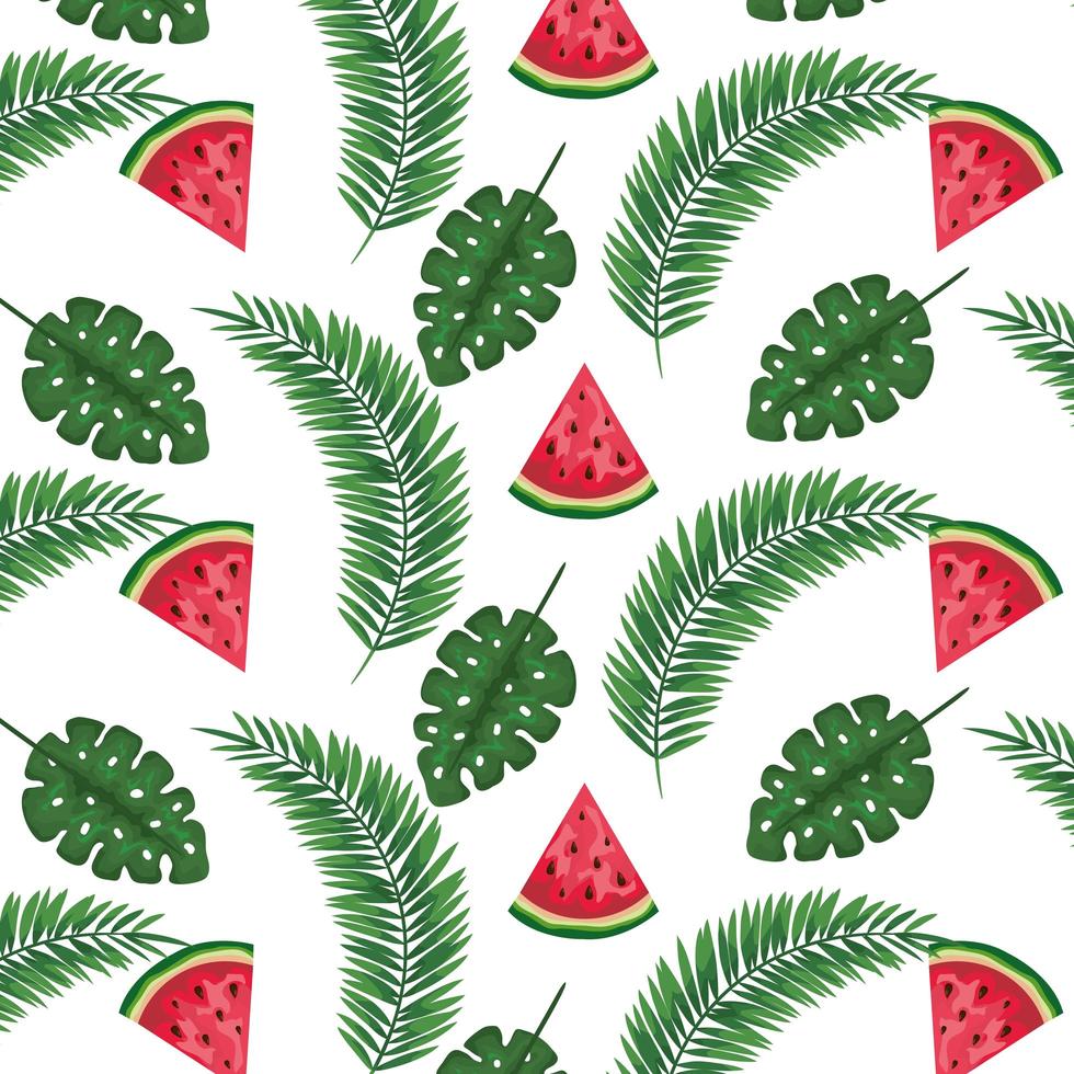 exotic leafs palms and watermelons pattern vector