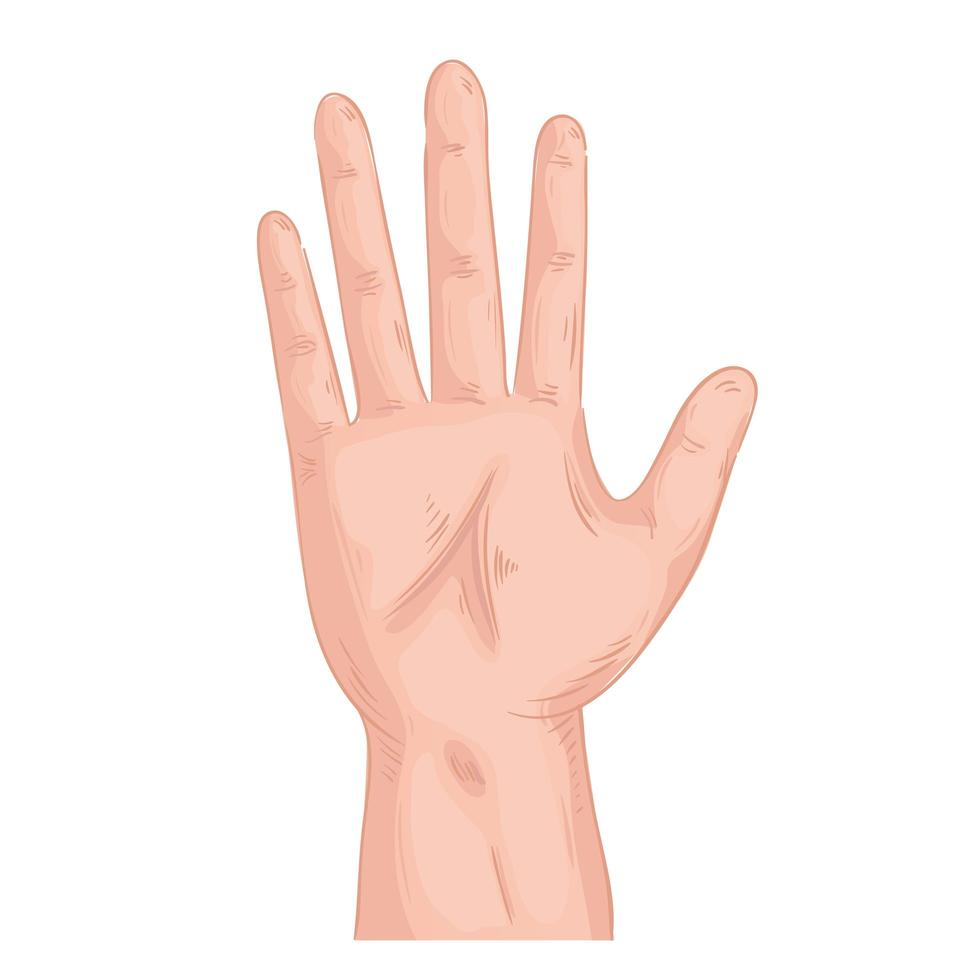 hand human stop symbol isolated icon vector