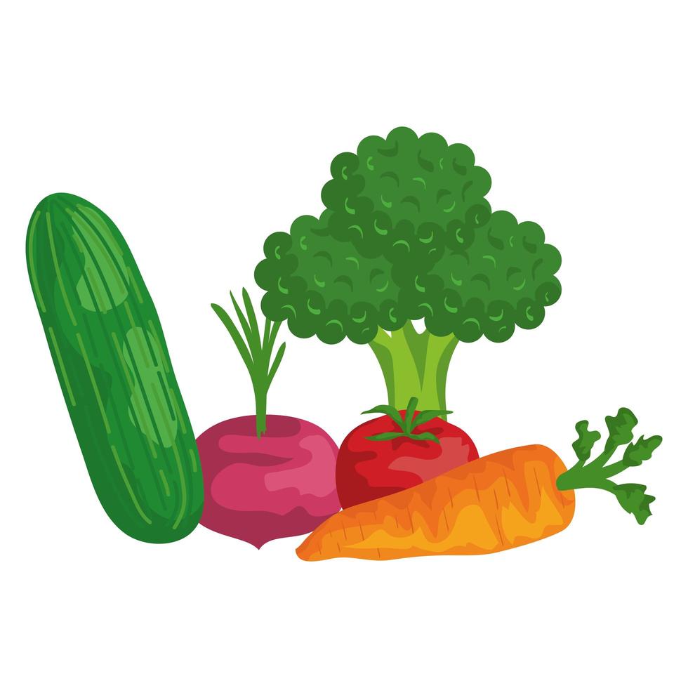 iconos de comida sana de verduras frescas vector