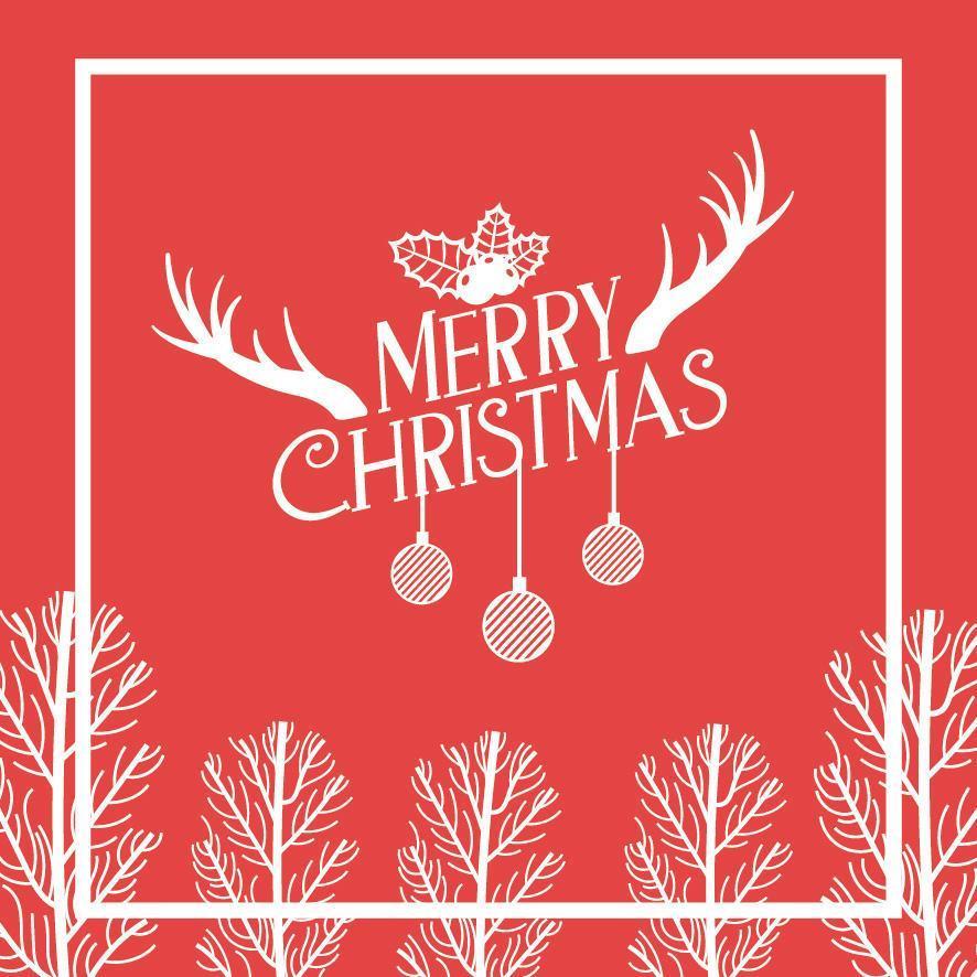 Merry Christmas card with lettering vector