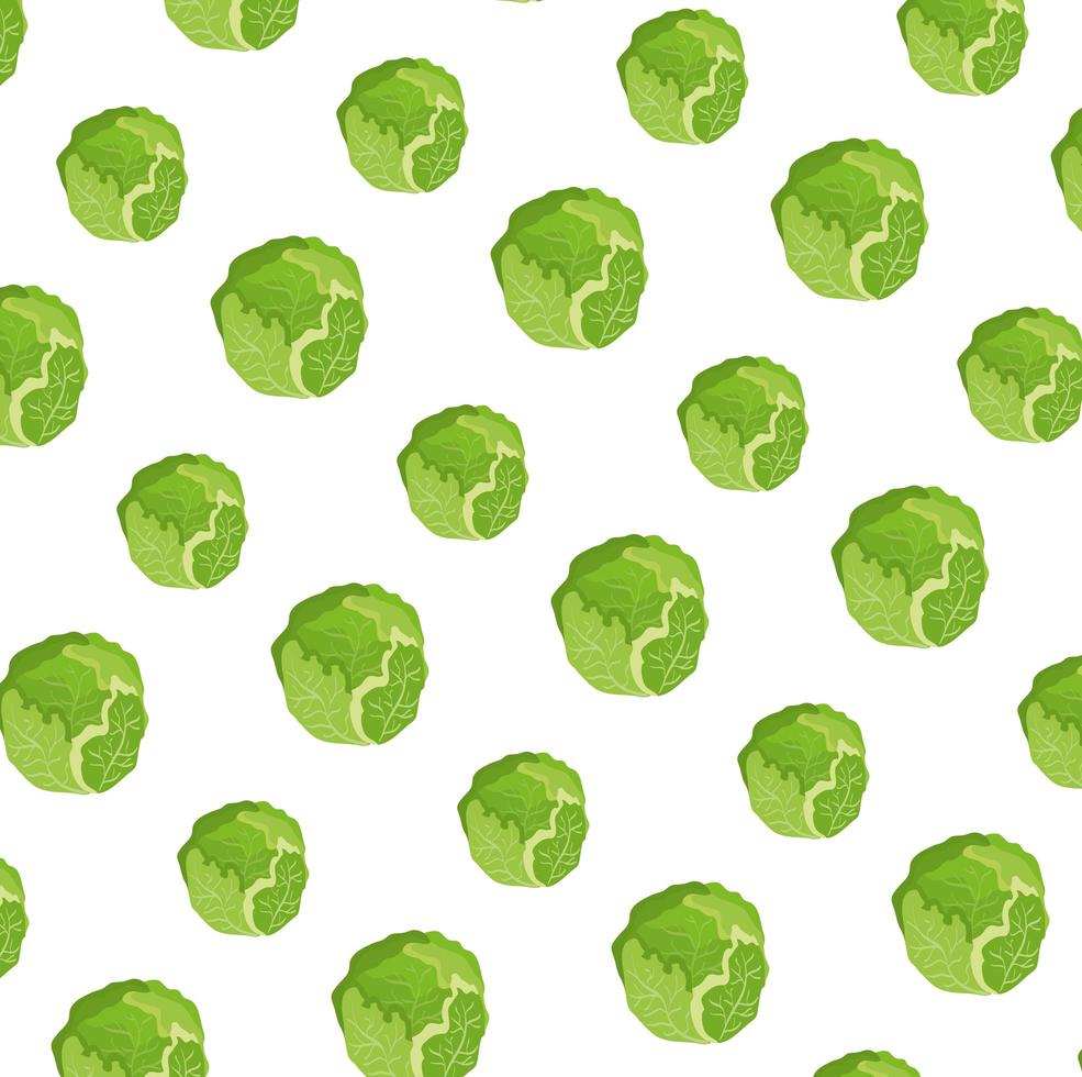 fresh cabbages vegetables pattern background vector