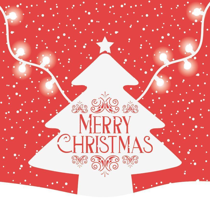 Merry Christmas card with pine tree vector