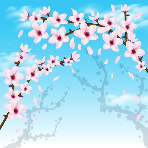 Cherry Blossom Realistic Wallpaper vector