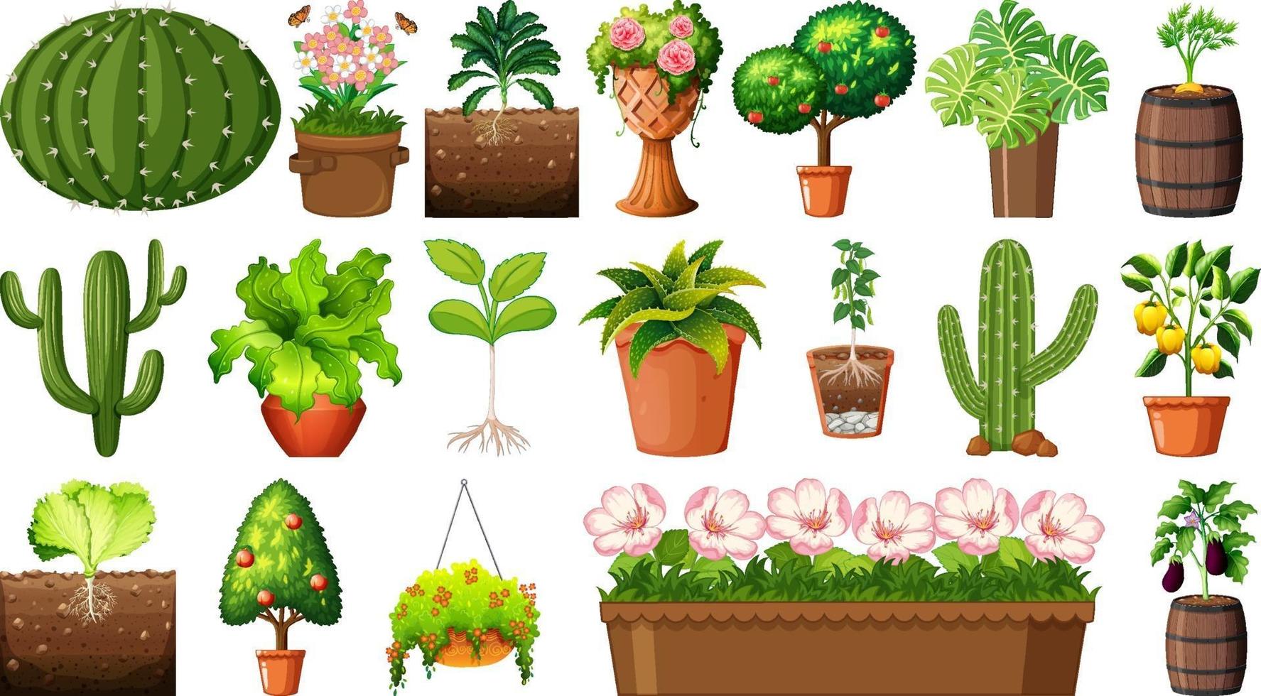 Set of different plants in pots isolated on white background vector