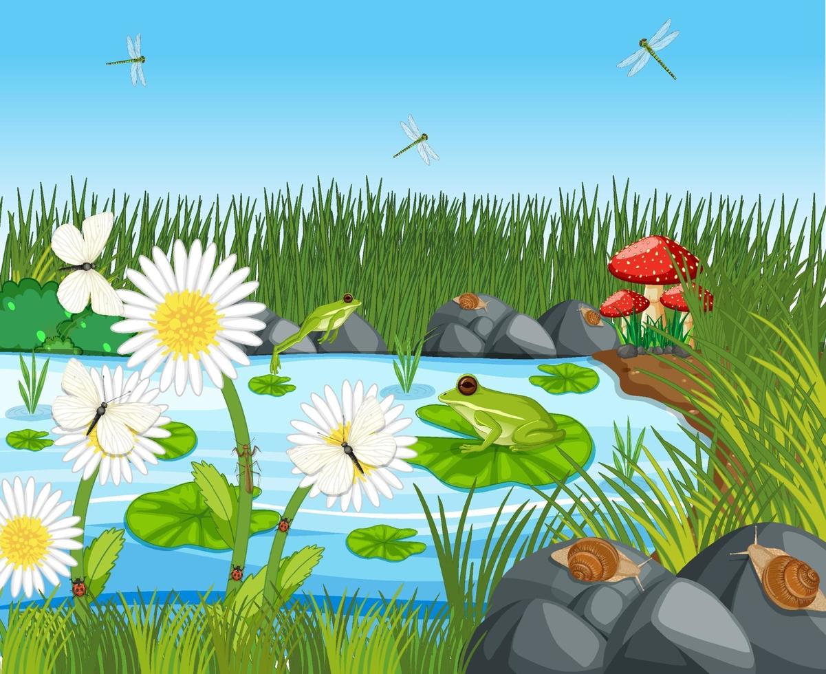 Many green frogs and dragonfly in the pond scene vector