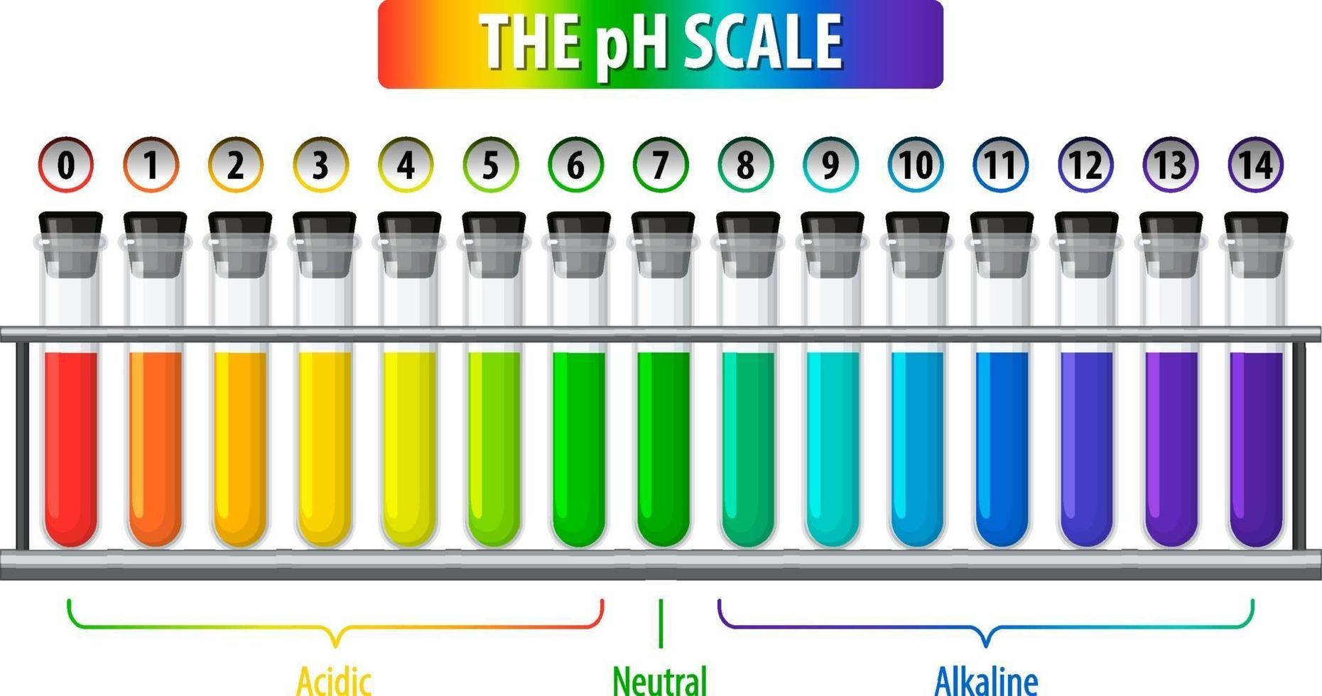 A pH scale on white background vector