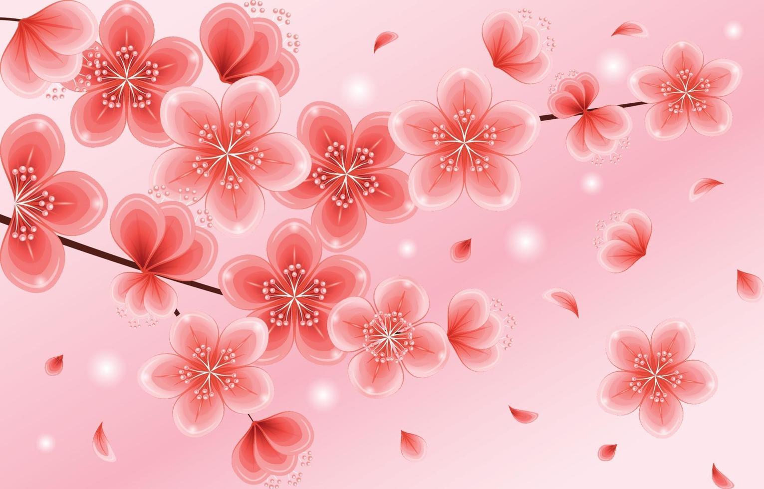 Beautiful Gradient Pink Cherry Blossom Flowers vector