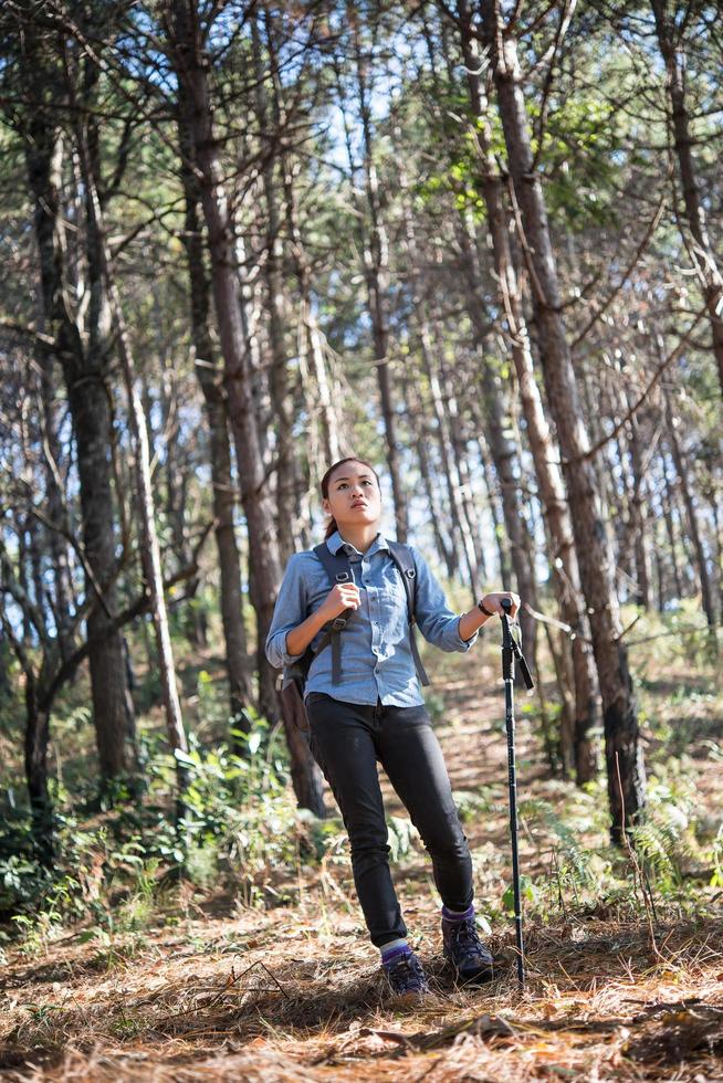 Mujer joven con una mochila relajarse al aire libre en un bosque de pinos foto