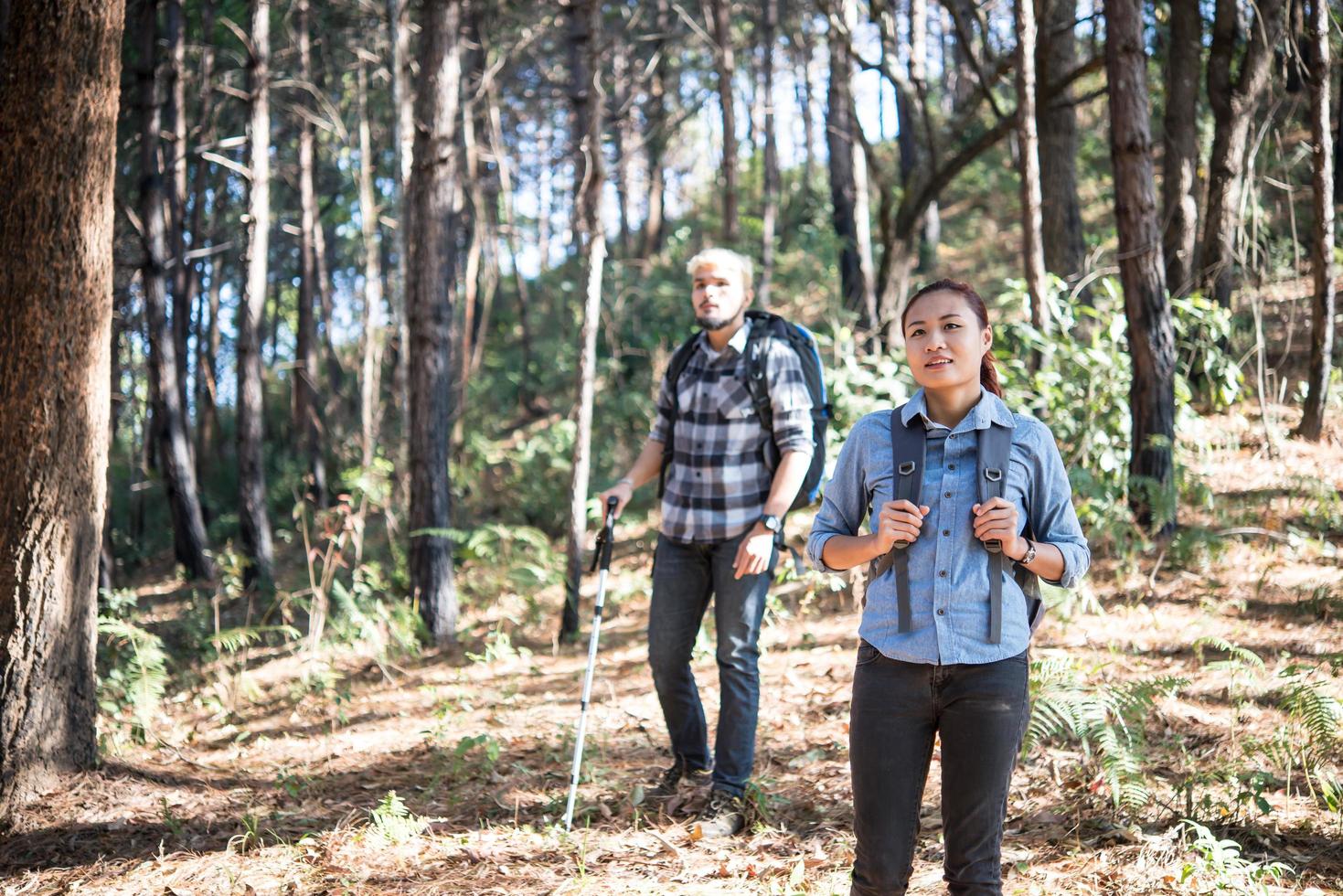 Hiking couple backpacking in the pine forest photo