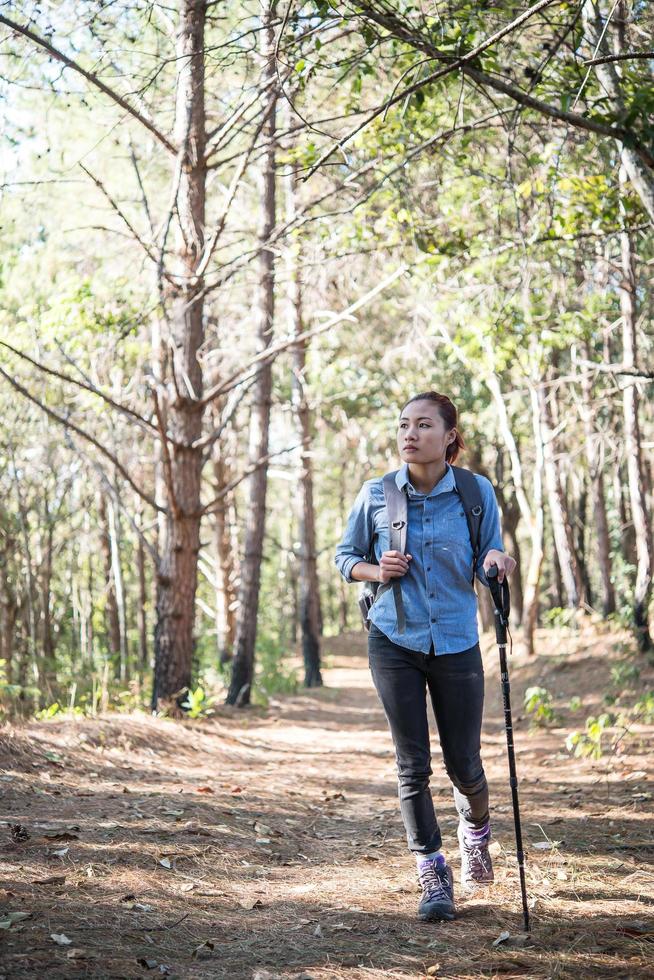 Mujeres caminando con mochila a través de un bosque de pinos. foto