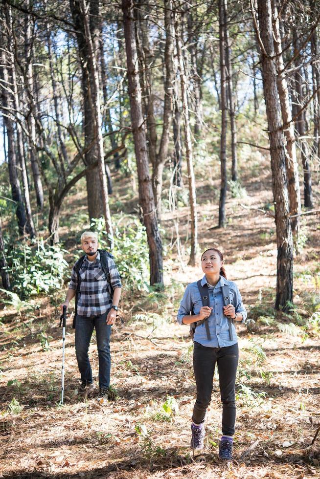 Hiking couple backpacking in the pine forest photo