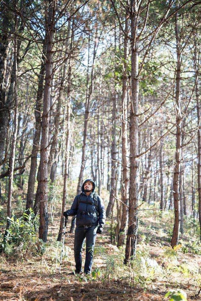 Joven con una mochila relajarse al aire libre en un bosque de pinos foto