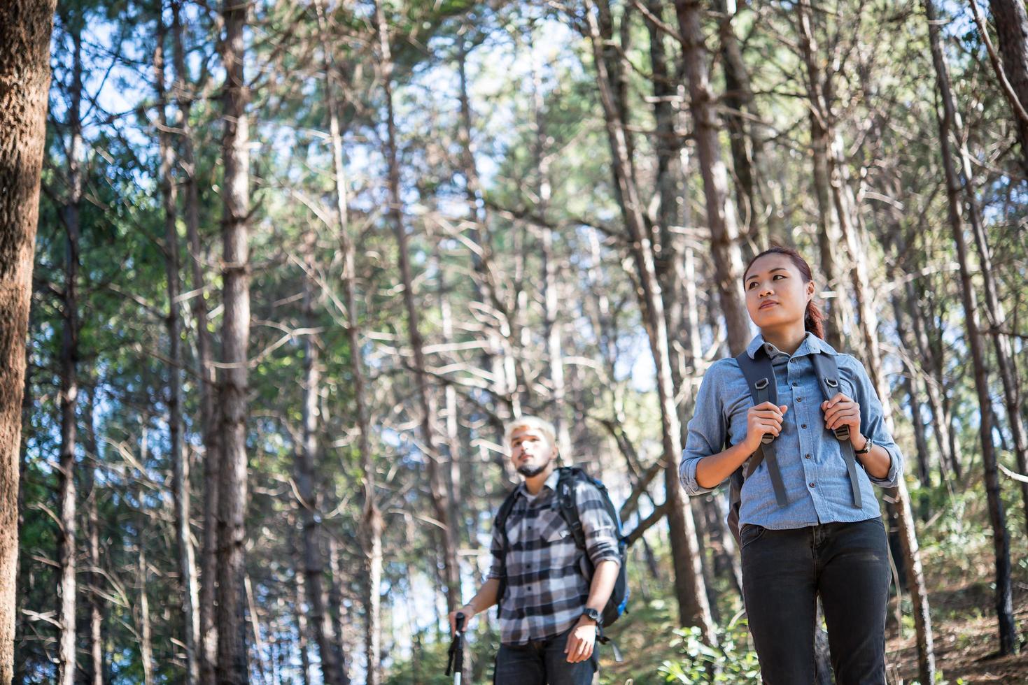 Hiking couple backpacking in the pine forest photo