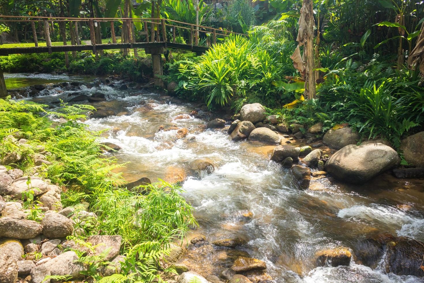 río y rocas debajo del puente peatonal en el bosque foto