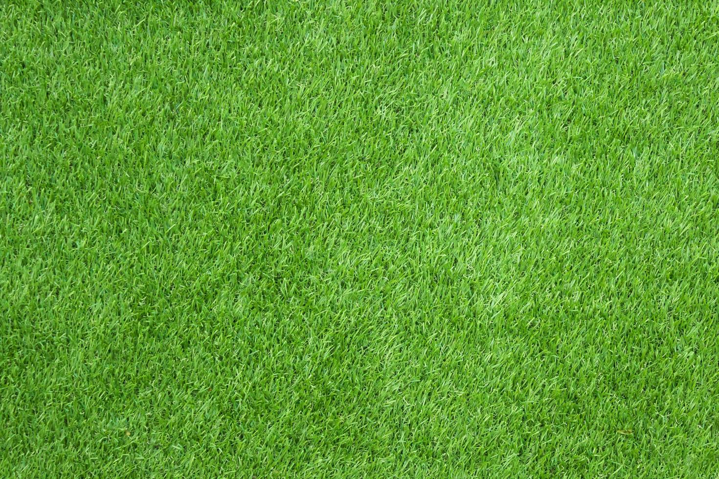 hierba verde para textura o fondo foto