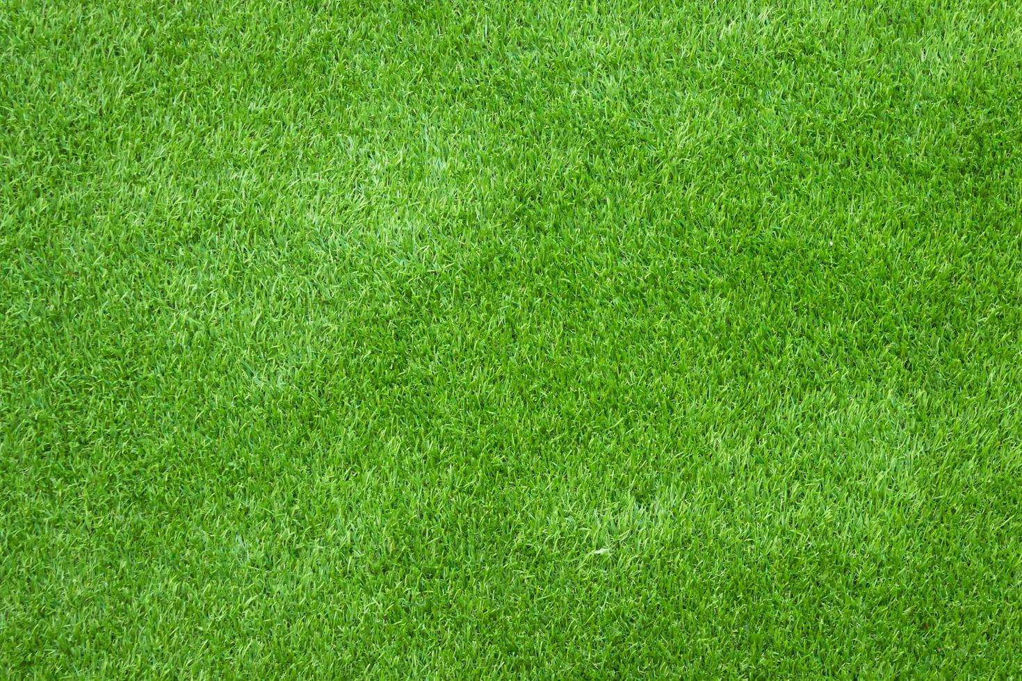 hierba verde para textura o fondo foto