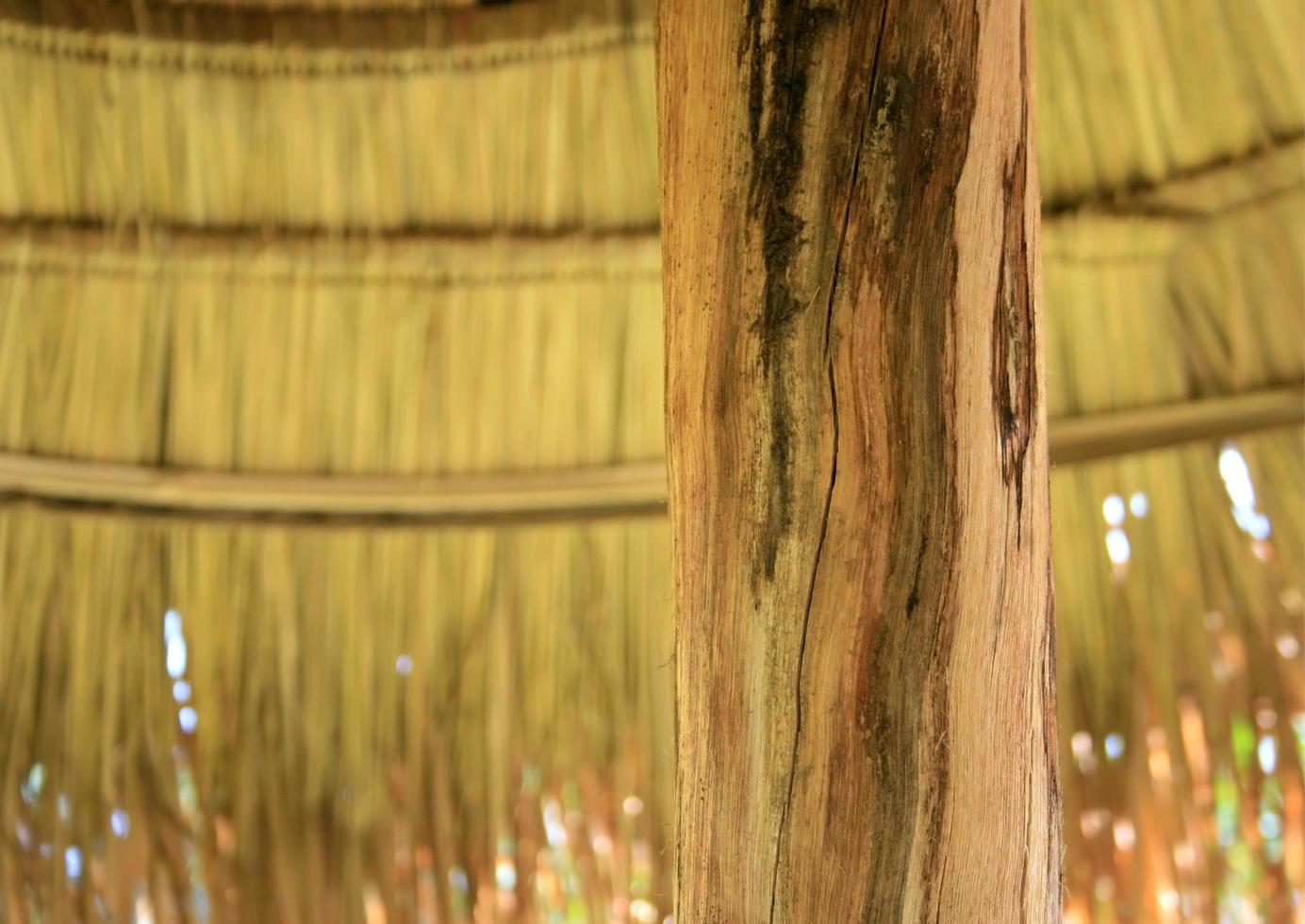 Pole of bamboo hut photo