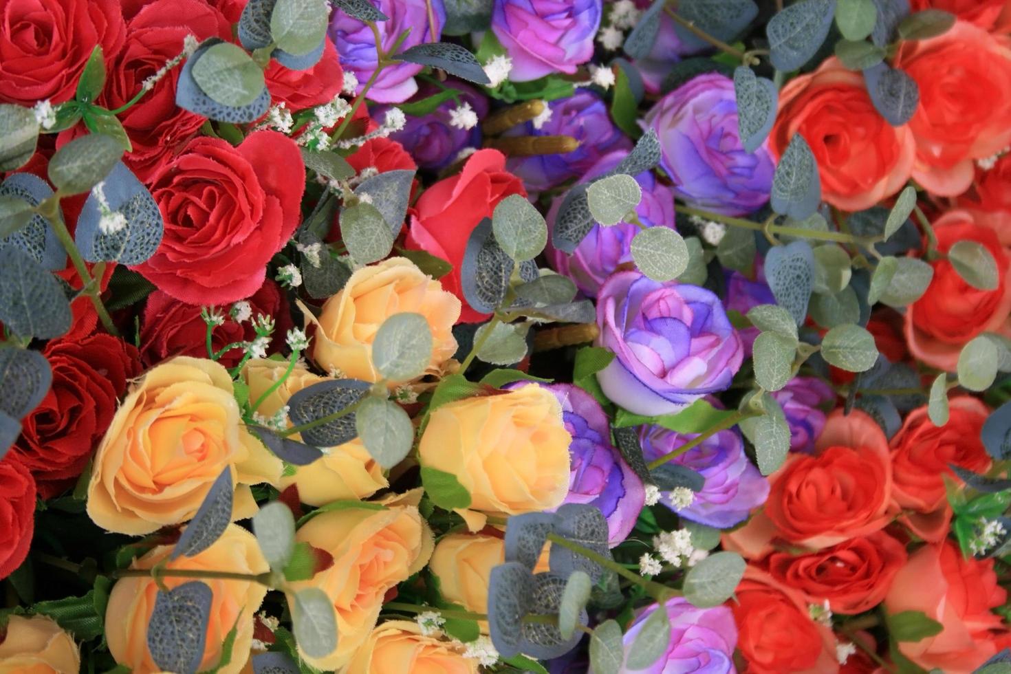 Colorful roses and leaves photo