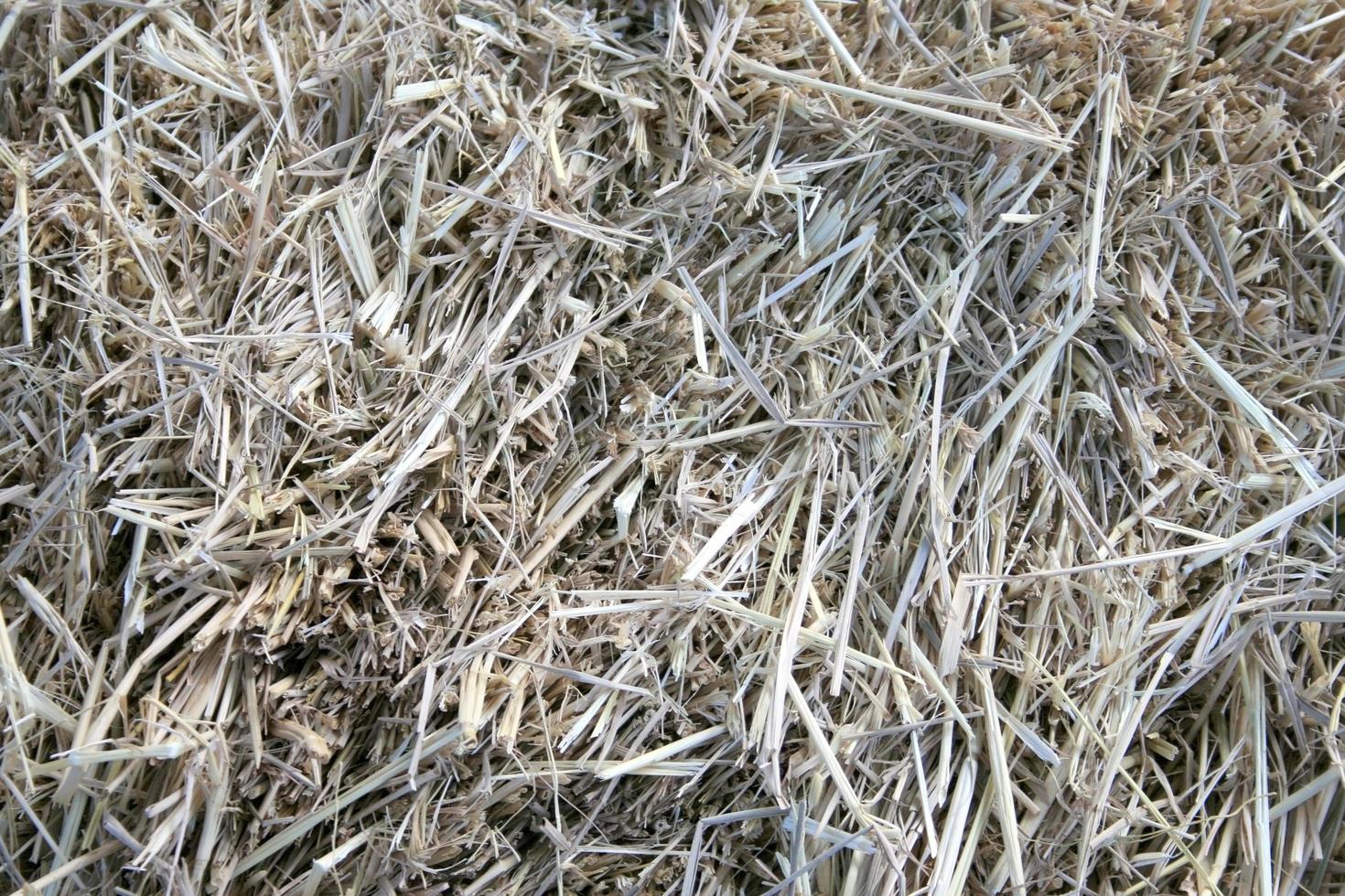 Pile of dry hay photo