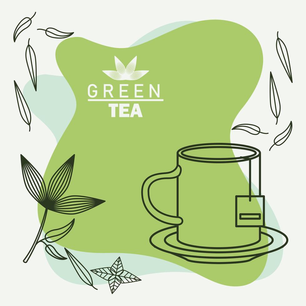 green tea lettering poster with mug and leaves vector