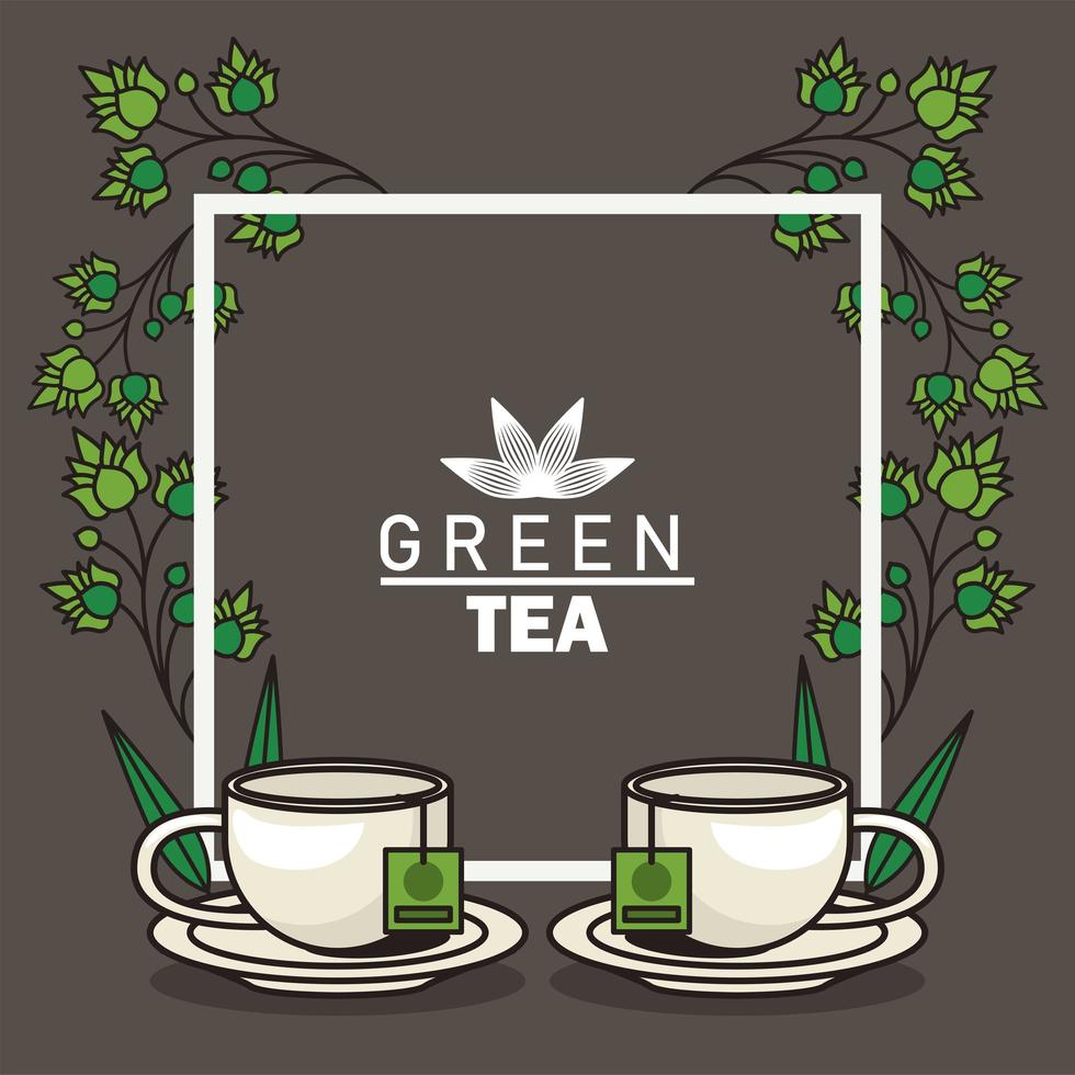 green tea lettering poster with teacups and leaves in square frame vector