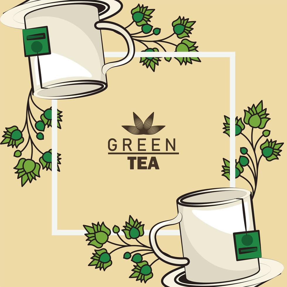 green tea lettering poster with mugs and leaves in square frame vector