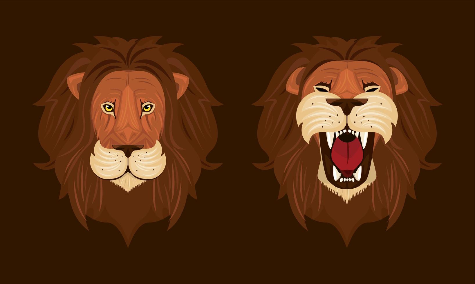 heads of lions colorful icons vector