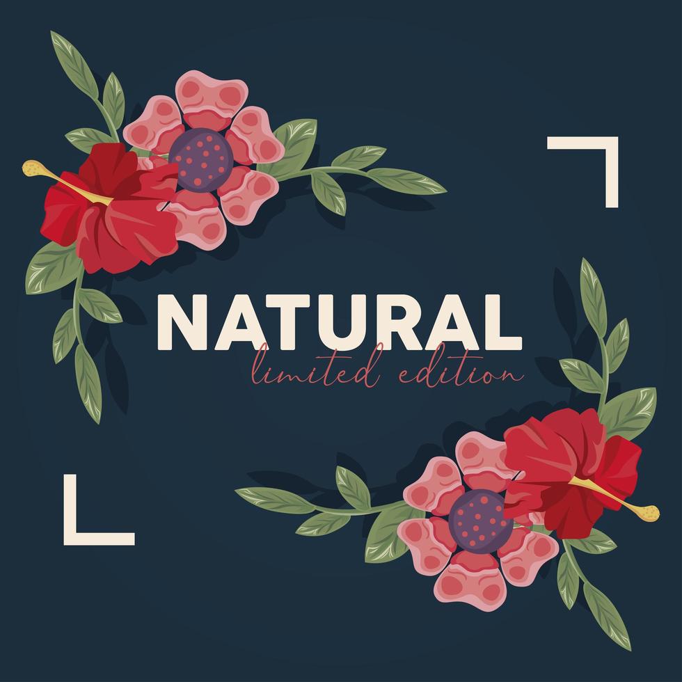 cartel de marco floral con palabra natural vector