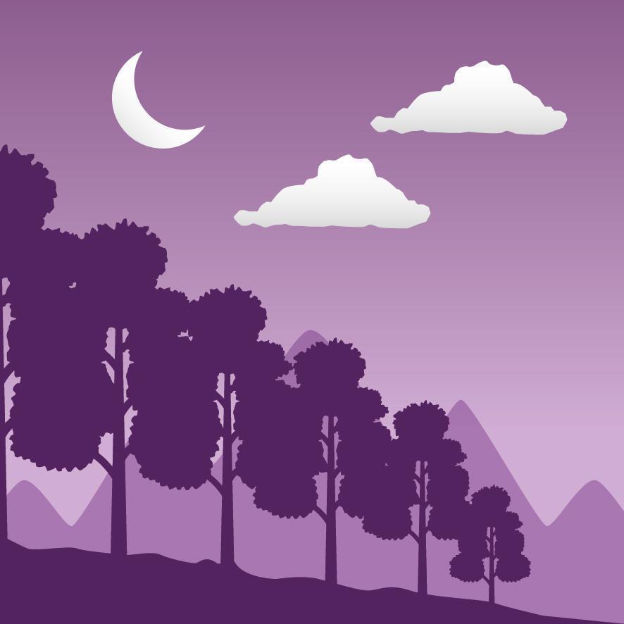 Wanderlust forest landscape with crescent moon scene vector