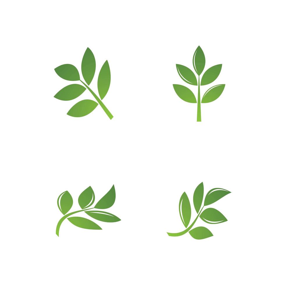 conjunto de iconos de logotipo de vector de hoja