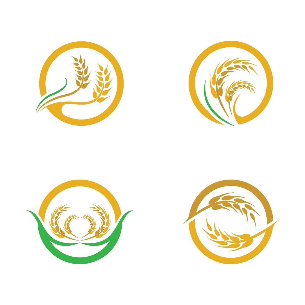 Wheat logo images set vector