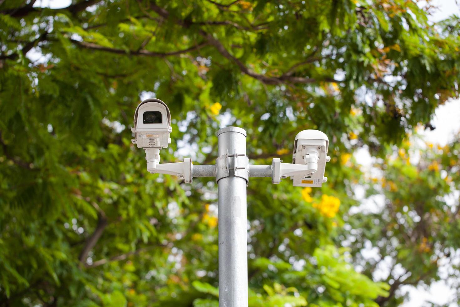 Cámaras CCTV en un poste en un parque foto