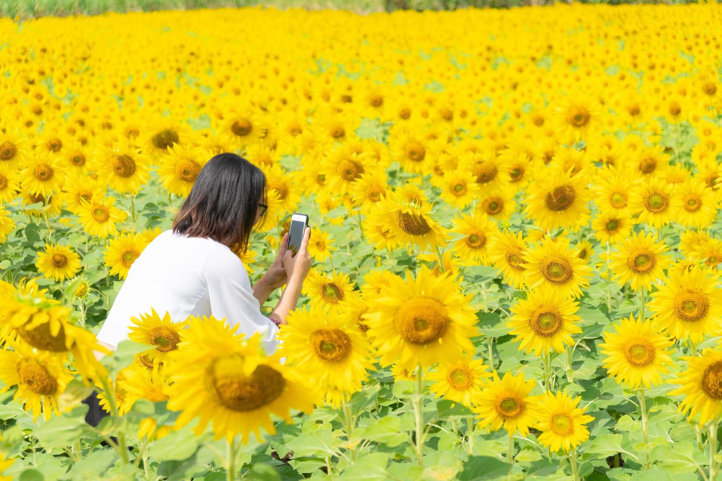 Asian woman on the sunflower field photo