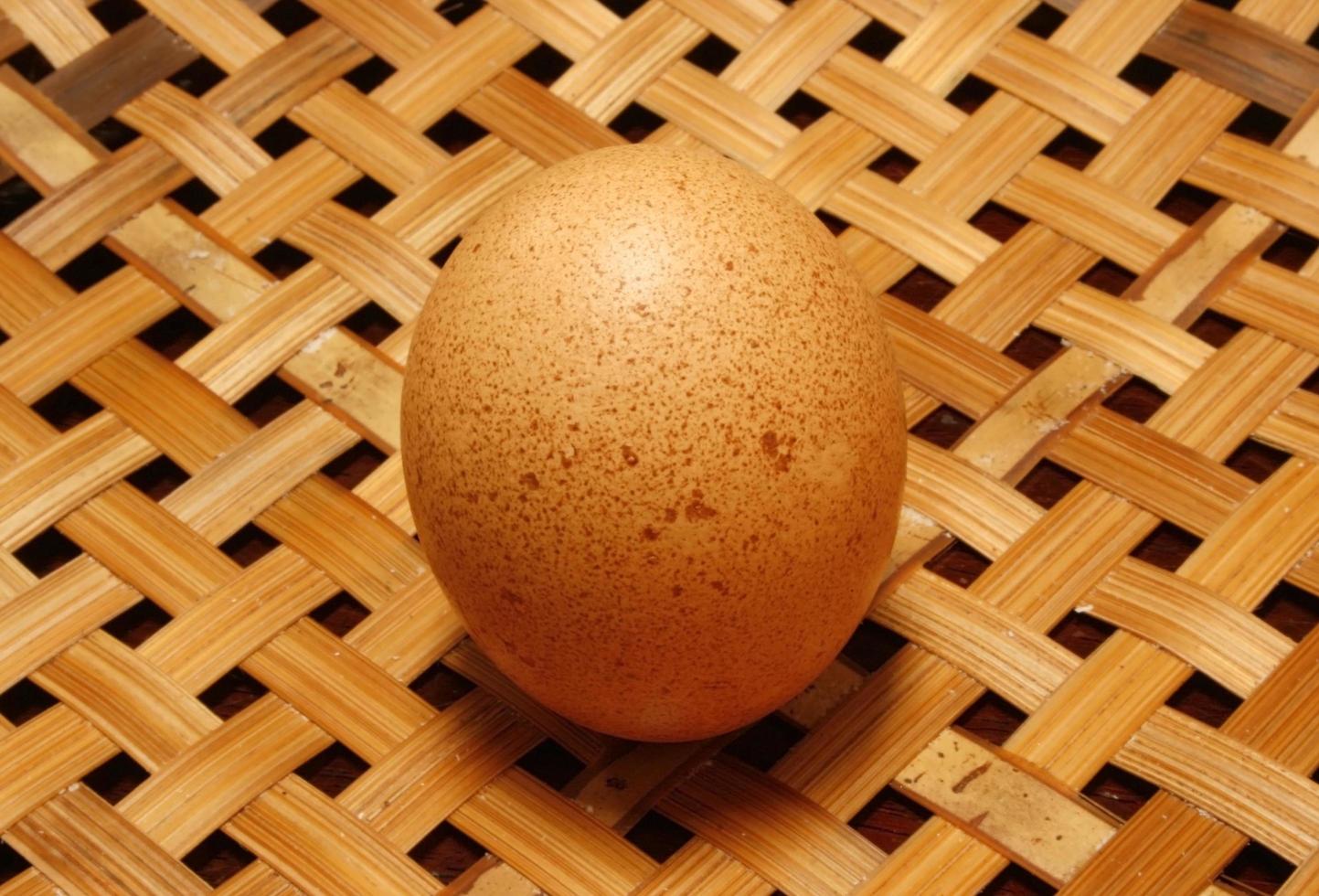 huevo en una canasta foto
