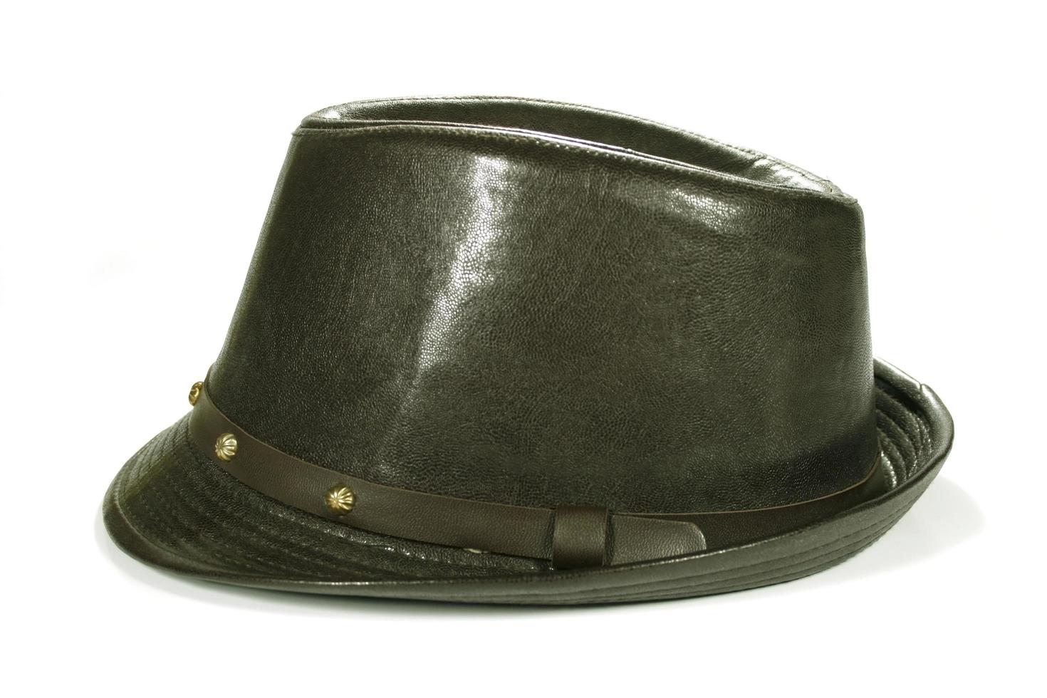 Side view of a fedora photo