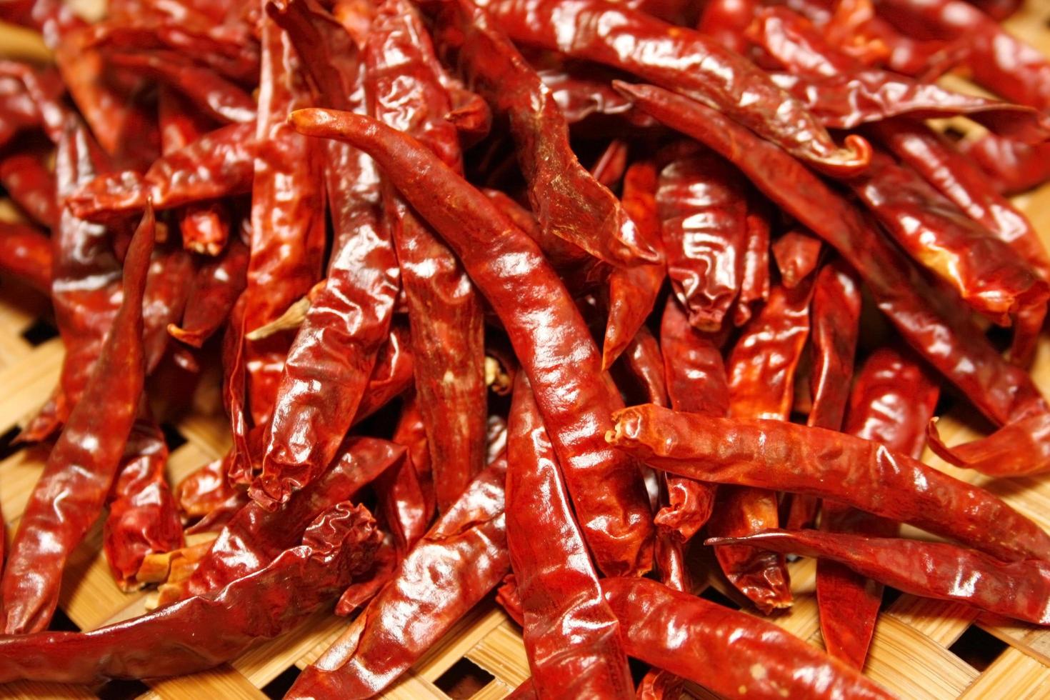Dried red chilies photo