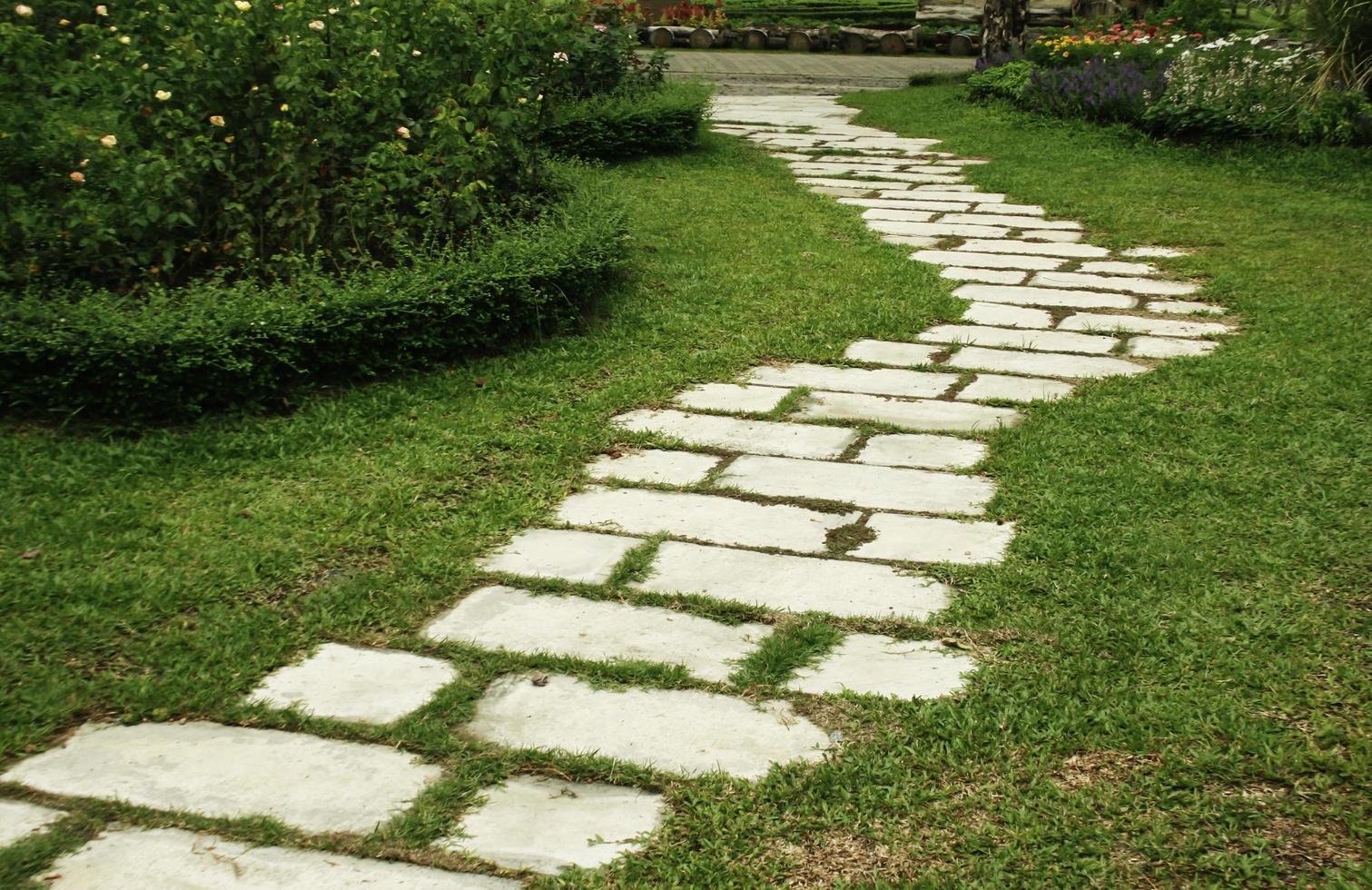 Stone pathway in garden photo